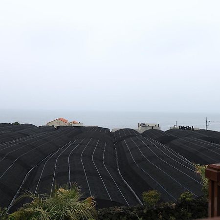 Haevichi Pension ซอกวีโพ ภายนอก รูปภาพ