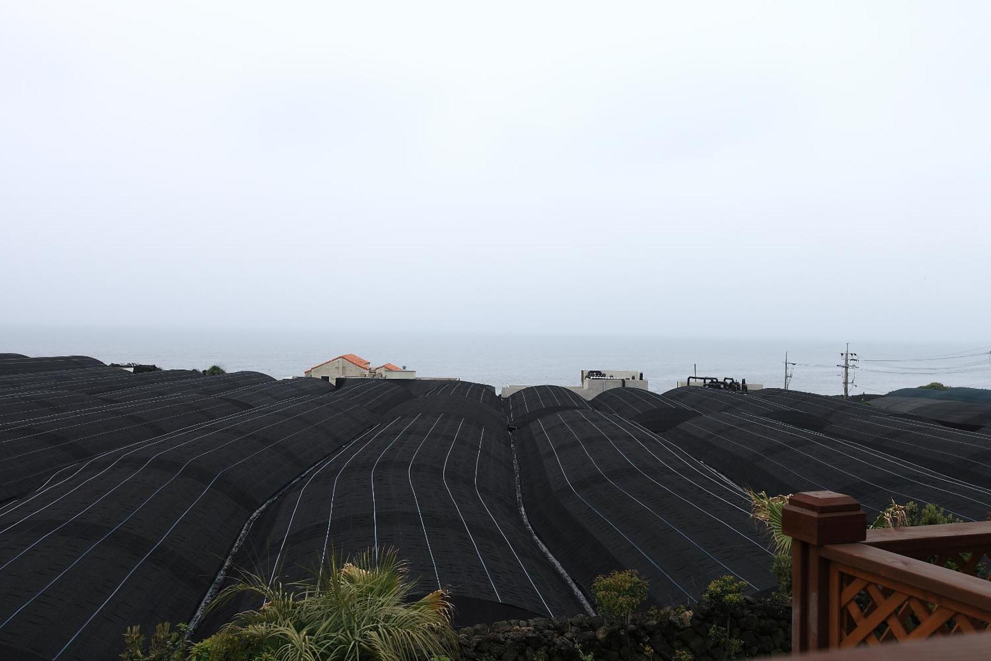 Haevichi Pension ซอกวีโพ ภายนอก รูปภาพ